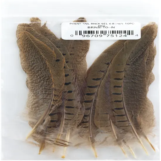 Zucker Ringneck Pheasant Tails 6"-8" 10/Pkg-Natural {1}