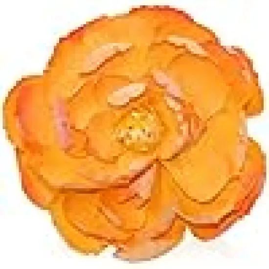 Peony Flower Heads for Decoration {1}