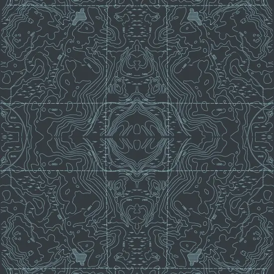 Topographic Map Gift Wrap VIII {2}