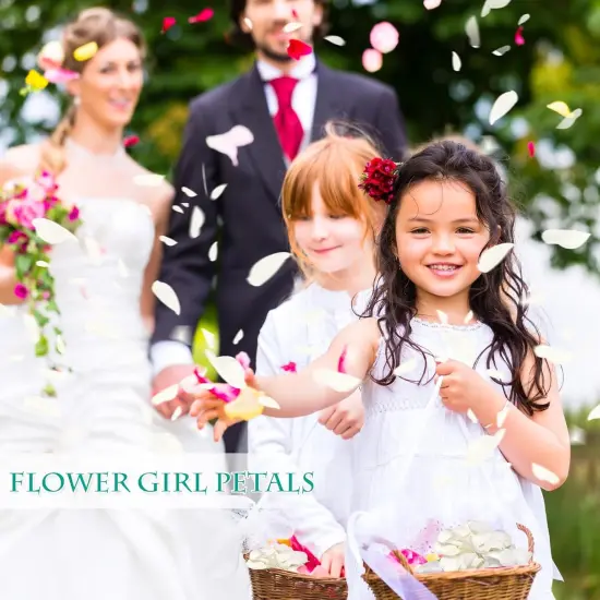 Dried Real White Rose Petals, Freeze Preserved Flower Petals 1.75oz for Valentine's Day Gifts Wedding Party Decor {5}