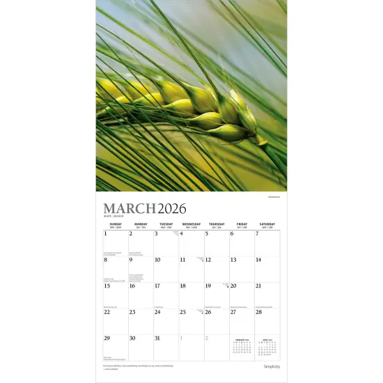 Simplicity | 2026 12 x 24 Inch (Hanging) Monthly Square Wall Calendar | Foil Stamped Cover {3}