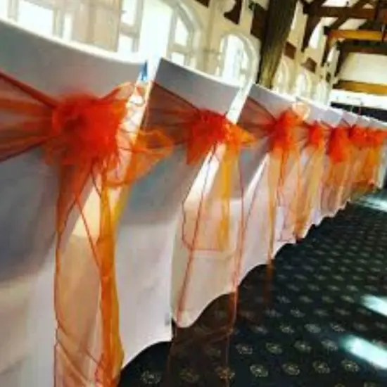 10 Pieces Orange Luxury Angle End Organza Chair Strips, 12"x116" Party Accessories {5}