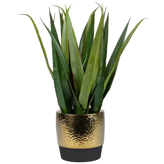 Northlight Artificial Agave Succulent Plant in a Textured Pot - 17" Green {4}
