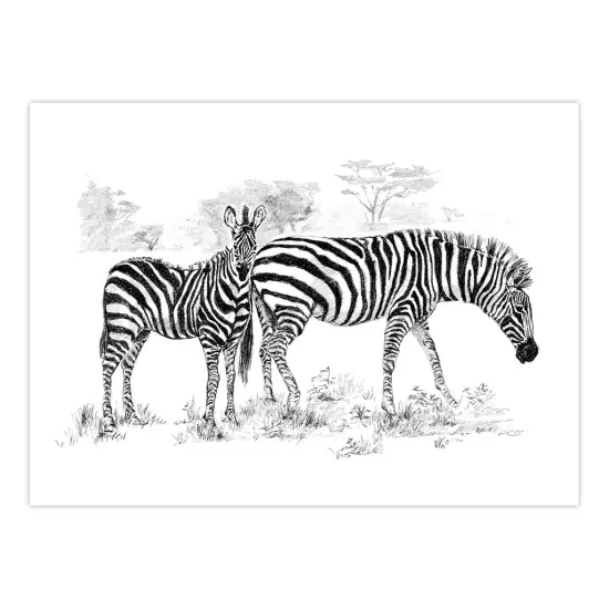 SKBNL5 | Sketching Made Easy&trade; Zebras 10pc 11.25" x 15.375" Sketching Art Project {2}