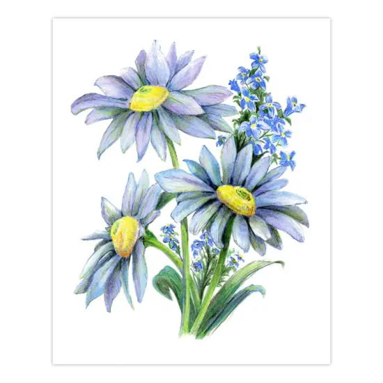 AVS-DME203 | Drawing Made Easy&trade; 26pc 8" x 10" Flowers 4 Project Box Set {2}