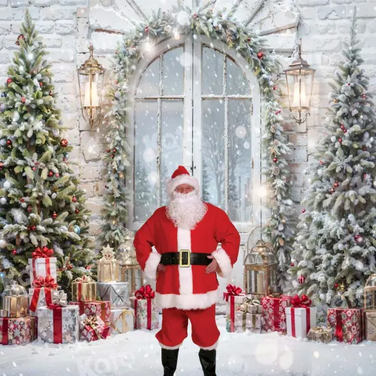 10 Piece Set Complete Santa Suit, Plush Coat, Pants, Hat, Belt, Gloves and Beard {4}