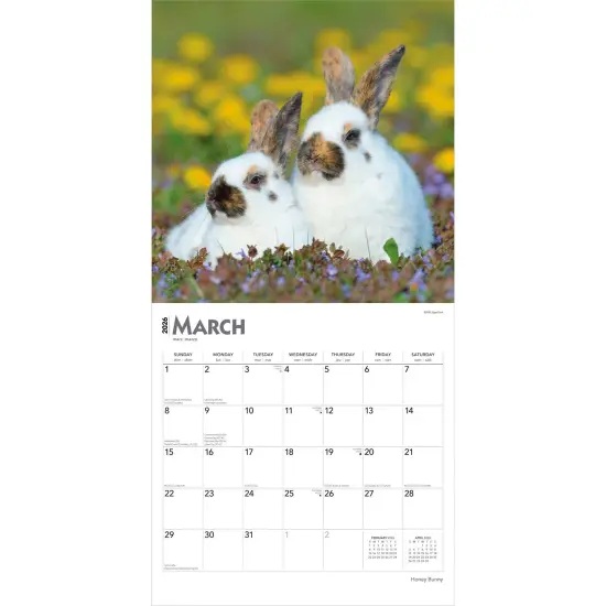 Honey Bunny | 2026 12 x 24 Inch (Hanging) Monthly Square Wall Calendar | Plastic-Free {3}
