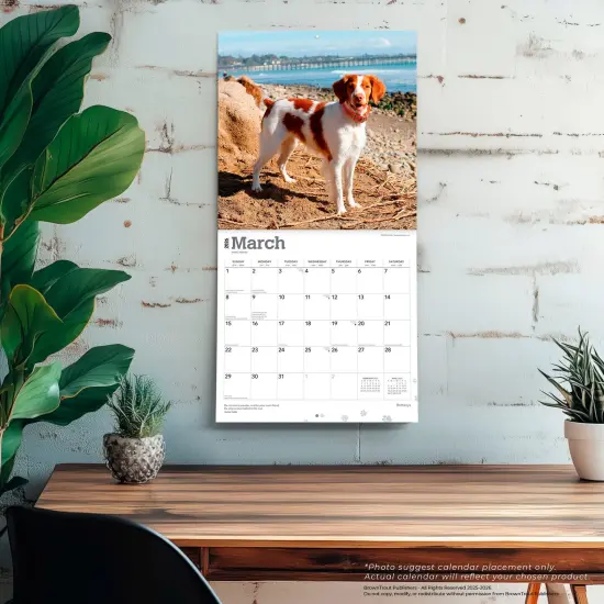 Brittanys | 2026 12 x 24 Inch (Hanging) Monthly Square Wall Calendar | Plastic-Free {5}