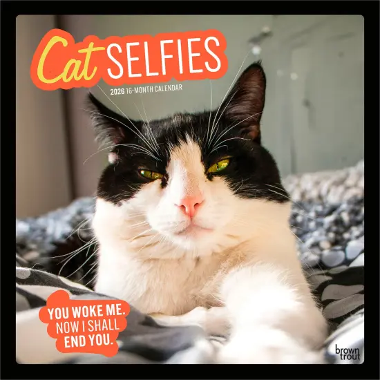 Cat Selfies | 2026 12 x 24 Inch (Hanging) Monthly Square Wall Calendar | Plastic-Free {1}