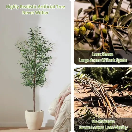 Fake Olive Tree, 5FT Tall Artificial Olive Trees 60in Faux Silk Plant with Trunk and Realistic 536 Leaves and 20 Fruits for Modern Office Home Decor Indoor（1pack） {3}