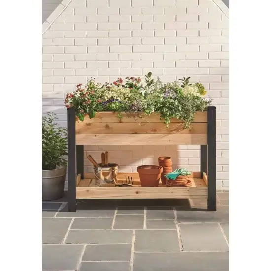 Natural Cedar Raised Garden Bed with Shelf 2x4ft Elevated Planter {3}