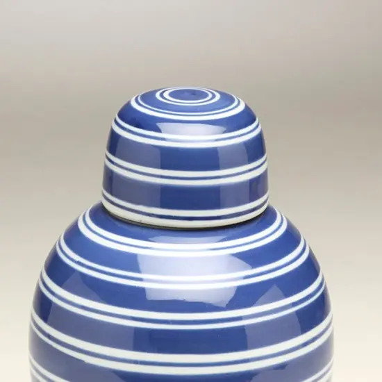 AA Importing 59956 Blue & White Ginger Jar {4}