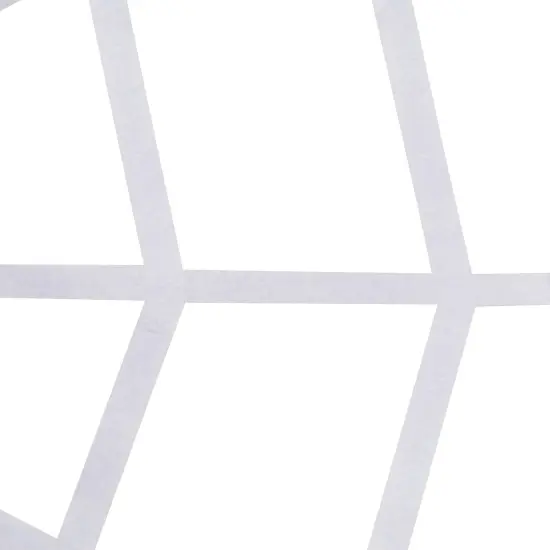 Northlight Spooky Spider Web Hanging Halloween Decoration - 80" - White {4}