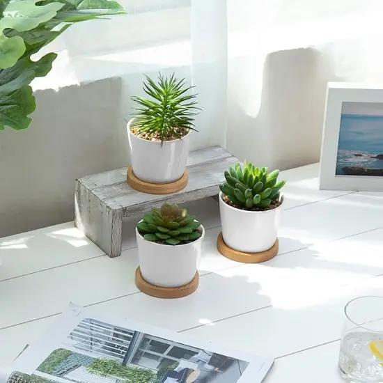 Assorted Artificial Succulent Plants - Decorative Fake Desert Plants with Pebble Fillers in White Ceramic Pots with Bamboo Saucers, Set of 3 {2}