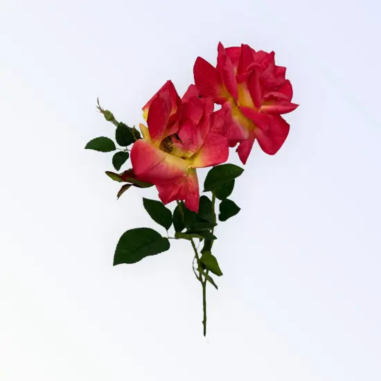 35" Realistic Pink Open Rose Spray with Faux Thorns &ndash; Long Stem Artificial Flower for Arrangements, Wreaths & Home Decor-FSR845-TY {2}