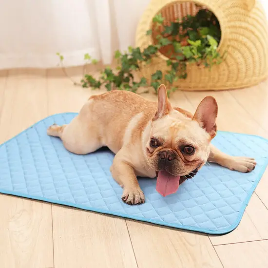 Pet Cooling Bed Mat for Dogs & Cats - 24x36 Inch Machine Washable Cooling Blanket, Portable Summer Heat Relief for Medium/Small Pets (Blue) {1}