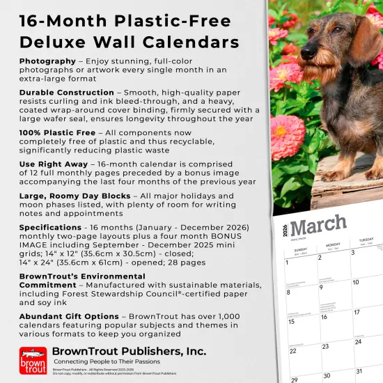 For the Love of Dachshunds | 2026 14 x 24 Inch (Hanging) Monthly Deluxe Wall Calendar | Foil Stamped Cover | Plastic-Free {6}