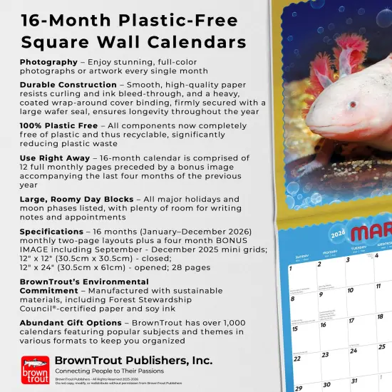 Adorable Axolotl | 2026 12 x 24 Inch (Hanging) Monthly Square Wall Calendar | Plastic-Free {6}