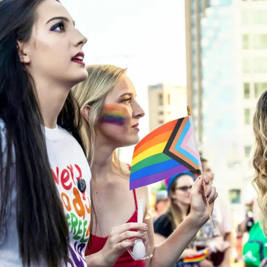 25 Pack Mini Progress Pride Flag Rainbow Gay Pride Stick Flag Small Hand Held LGBT Flags for Pride Parade Rainbow Festival Party Decorations (5x8 Inches) {5}