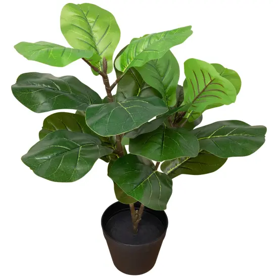 Northlight Two-Tone Fiddle Leaf Fig Artificial Potted Plant - 26" - Green {5}