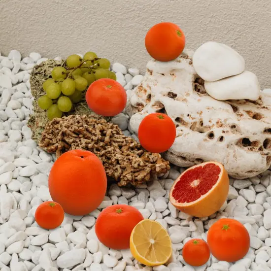 Fake Lifelike Oranges Set - 10 Pcs {5}