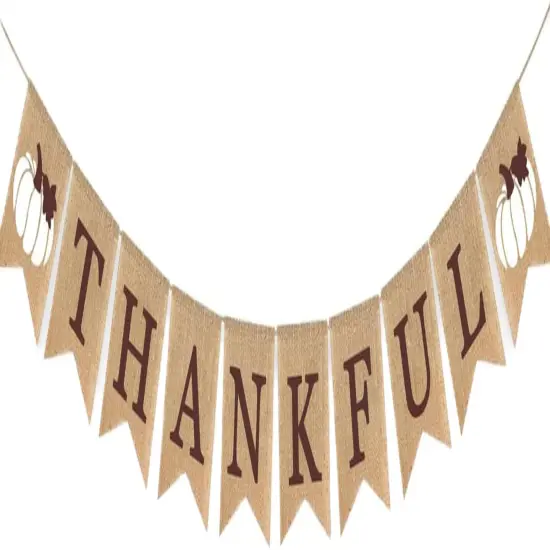 Thankful Banner Holiday Decorations (white) {1}
