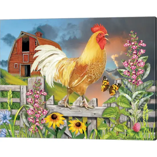 Yellow Rooster Greeting The Day by Rosiland Solomon 20" x 16" Canvas Wall Art {1}
