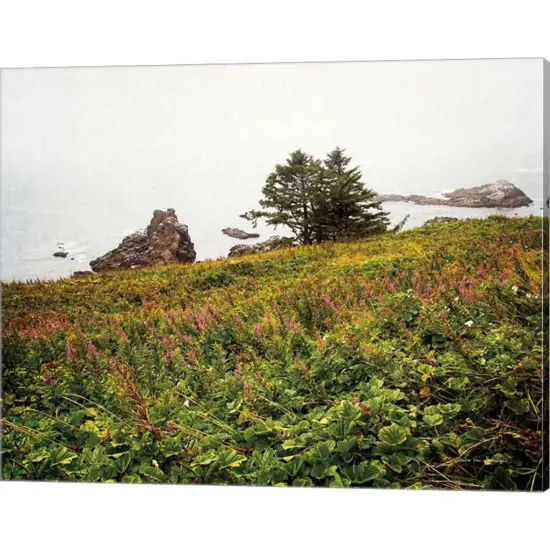 Oregon Coast by Debra Van Swearingen 20" x 16" Canvas Wall Art {1}