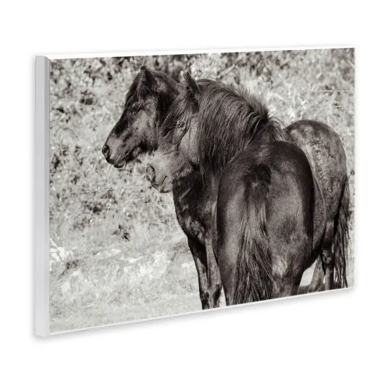 Stupell Industries Dartmoor Ponies Duo Wall Plaque By Deborah Revell {3}