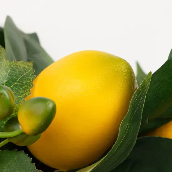 Northlight Lemon and Foliage Artificial Wreath, Yellow 22-Inch {7}