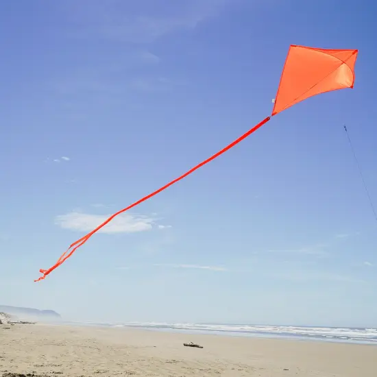 In the Breeze 3298 - Tangerine 30 Inch Diamond Kite - Solid Orange, Fun, Easy Flying Kite {2}