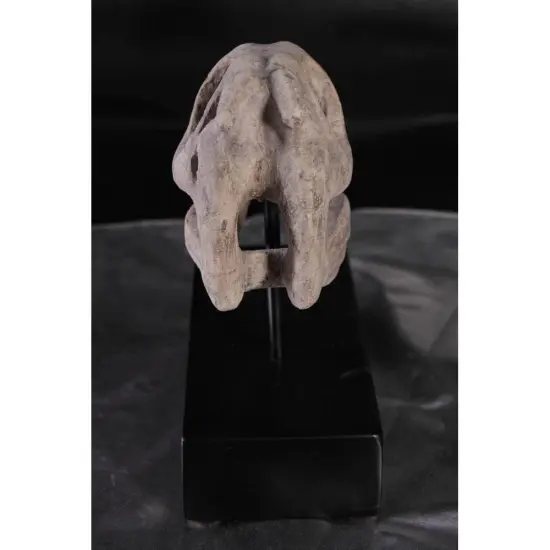 Raptor Dinosaur Skull Life Size Statue {4}