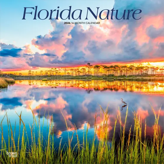 Florida Nature | 2026 12 x 24 Inch (Hanging) Monthly Square Wall Calendar | Plastic-Free {1}