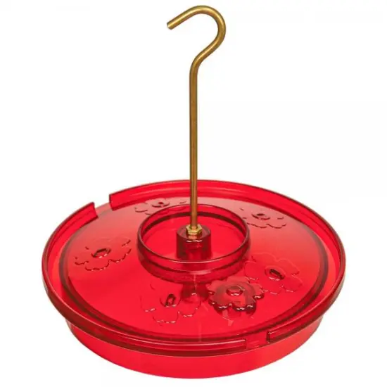 Hummingbird Haven Birdfeeder {1}