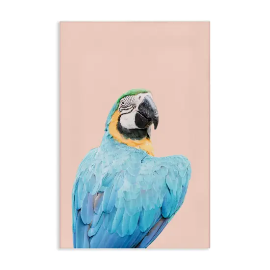 Stupell Industries Blue Ara Macaw Canvas Wall Art Design by Sisi and Seb {1}