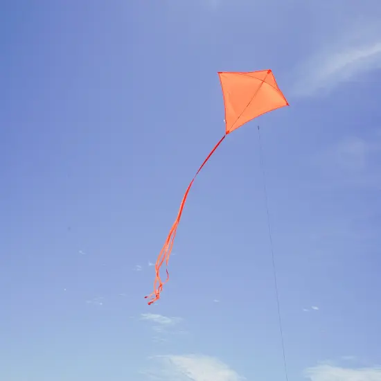 In the Breeze 3298 - Tangerine 30 Inch Diamond Kite - Solid Orange, Fun, Easy Flying Kite {3}