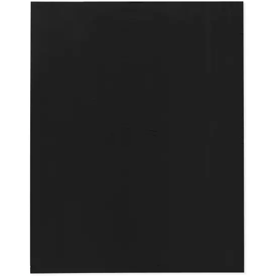 Plymor 12" x 15", Black 2 Mil Flat Open Plastic Poly Bags {1}