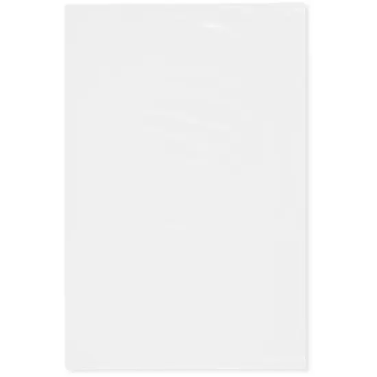 Plymor 6" x 9", White 2 Mil Flat Open Plastic Poly Bags {1}