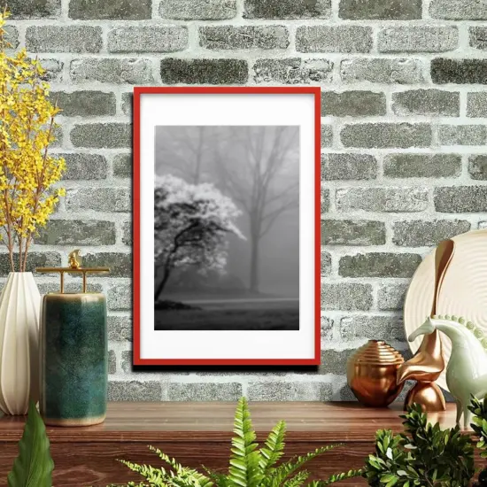 24x36" Red Frame with Mount Horizontal/Vertical No-Nail Hanging Depth Display {3}