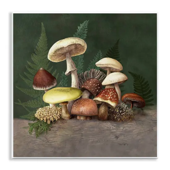 Stupell Industries Mushrooms and Ferns Nature Wall Plaque, design by Tim Coffey {1}