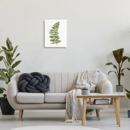 Stupell Industries Curved Fern Branch Canvas By Carol Robinson {8}