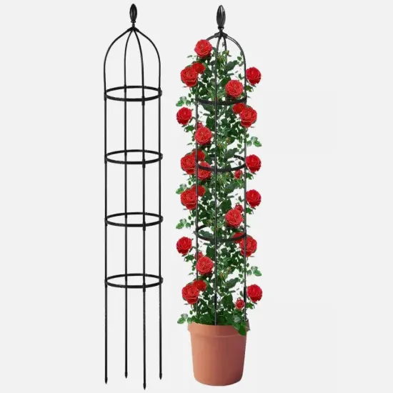 2Pack 6ft Garden Obelisk Trellis for Climbing Outdoor Plants {2}