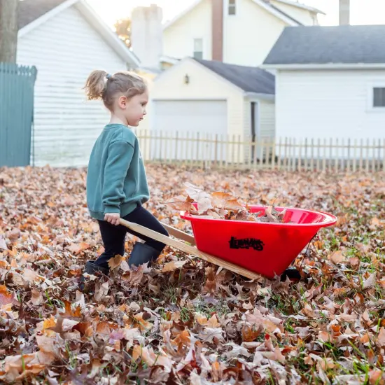 Eli & Mattie Kids Wheelbarrow, Sturdy Wooden Handles and Heavy-Duty Plastic Tub, Toy for Outdoor Play, Perfect for Gardening and Active Imaginative Fun {5}