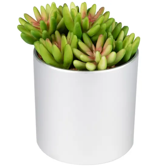 Northlight 4.75" Potted Red and Green Artificial Sedum Succulent {6}