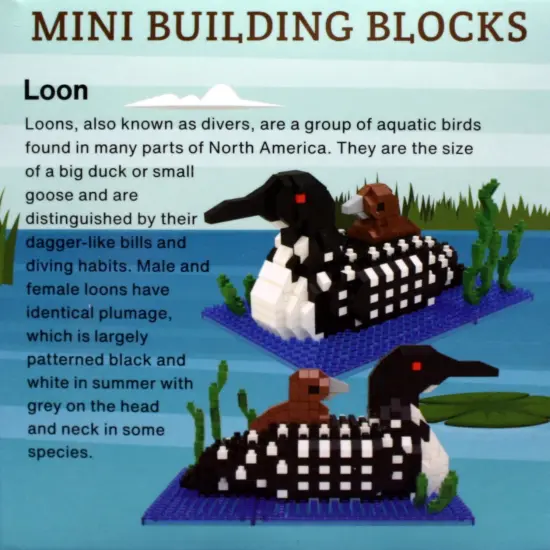 Mini Building Blocks - Loon {3}
