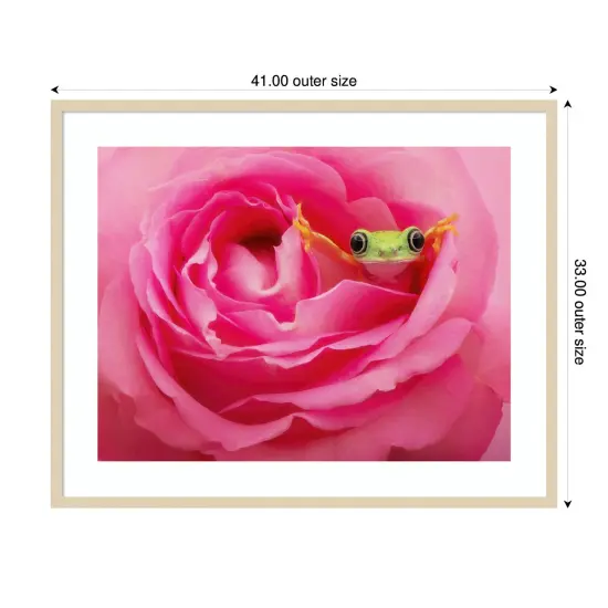 Hanging On VIII by PHBurchett Wood Framed Wall Art Print {4}