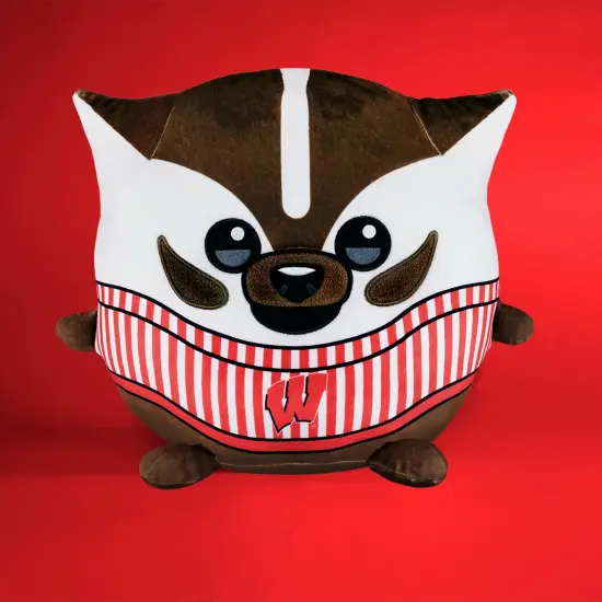 Sleep Squad Wisconsin Badgers Bucky Badger 12" Mascot Kiri Cloud Plushie {4}