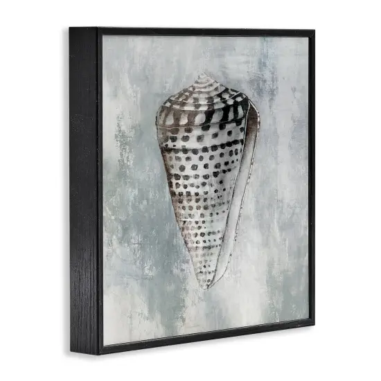 Stupell Industries Organic Cowrie Shell Framed Giclee Wall Art Design by Eli Jones {9}