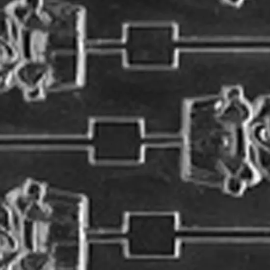 Pig In A Tub Lolly Chocolate Mold for BBQ and Hog Roast Treats {3}