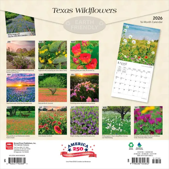 Texas Wildflowers | 2026 12 x 24 Inch (Hanging) Monthly Square Wall Calendar | Plastic-Free {2}
